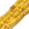 Natural Freshwater Shell Beads SHEL-B003-01-4
