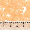 6/0 Luminous Glass Seed Beads X1-SEED-NH0001-01E-5