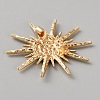 Alloy Rhinestone Lapel Pins for Clothes JEWB-WH0056-005G-2