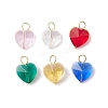 Transparent Glass Charms PALLOY-JF03337-1