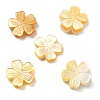 Natural Yellow Shell Carved Beads SSHEL-Z002-02C-1