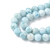 Natural Larimar Beads Strands G-B141-01-6mm-4