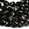 Natural Golden Sheen Obsidian Beads Strands G-Z119-A10-01-5