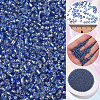 45G about 3000pcs Glass Seed Beads SEED-PA0001-29A-02-5