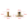 Brass Rivets OFST-PW0003-20A-G-2