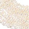 Natural Cultured Freshwater Pearl Beads Strands PA-CBABE82-02D-3