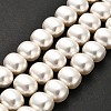 Shell Pearl Beads Strands BSHE-F013-01A-2