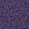 MIYUKI Round Rocailles Beads SEED-X0054-RR0223-3