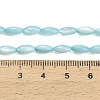 Natural Freshwater Shell Beads Strands SHEL-C010-01C-4