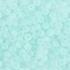 Transparent Frosted Colours Glass Seed Beads SEED-T007-12G-2