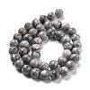 Natural Map Stone/Picasso Stone/Picasso Jasper Round Beads Strands G-E329-10mm-47-2