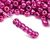 6/0 Glass Seed Beads E06900F4-4