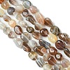 Natural Botswana Agate Nuggets Beads Strands G-L154-03-3
