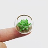 Resin Succulents Pot Model WG98425-03-1