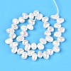 Natural Cultured Freshwater Pearl Beads Strands PEAR-T006-14-3