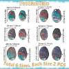 12Pcs 6 Styles Natural Abalone Shell Display Decorations DJEW-GA0001-69-2