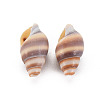 Natural Spiral Shell Beads SSHEL-T014-46-2