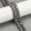 Natural Labradorite Beads Strands G-G448-8mm-04A-5
