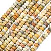 Natural Crazy Agate Beads Strands G-P575-A04-8x5mm-01-2