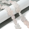 Natural Rose Quartz Beads Strands G-H023-B14-01-2