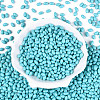 Baking Paint Glass Seed Beads SEED-T007-15M-1-1