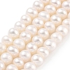 Natural Cultured Freshwater Pearl Beads Strands PEAR-C003-12I-1