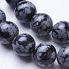 Natural Snowflake Obsidian Beads Strands G-D855-11-8mm-3