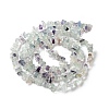 Natural Fluorite Beads Strands G-D335-01-3