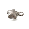 304 Stainless Steel Charms STAS-D310-06P-05-2