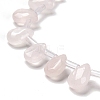 Natural Rose Quartz Beads Strands G-Q167-A05-02-3