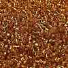 TOHO 6/0 Round Beads SEED-XTR06-0022B-3