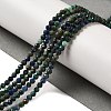 Natural Chrysocolla & Lapis Lazuli Beads Strands G-D463-08B-5