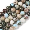 Natural Larimar Beads Strands G-P524-A02-03-1