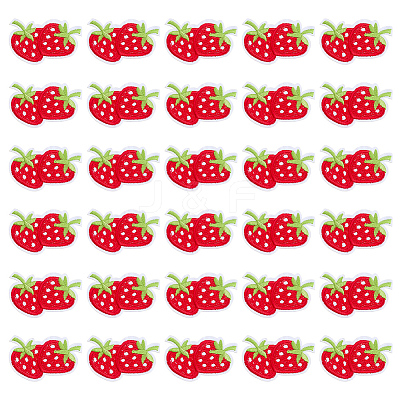30Pcs Strawberry Computerized Embroidery Cloth Iron on/Sew on Patches PATC-FG0003-73B-1