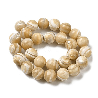 Natural Trochus Shell Beads Strands SHEL-K006-18B-1