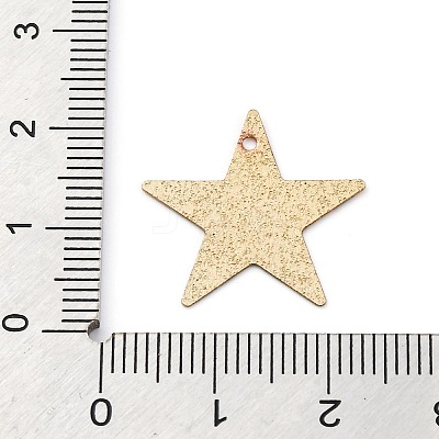 Geometric Alloy Sheet Printed Pendant Earrings Accessories PALLOY-E139-01G-01-1