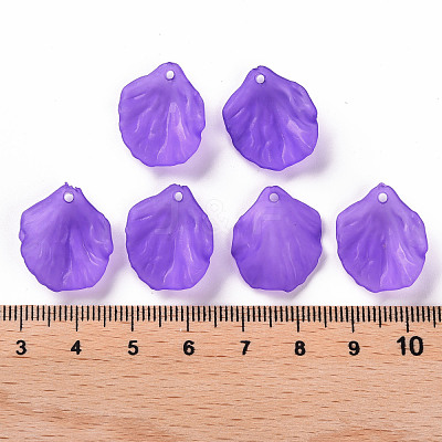 Transparent Frosted Acrylic Pendants MACR-S371-01A-747-1