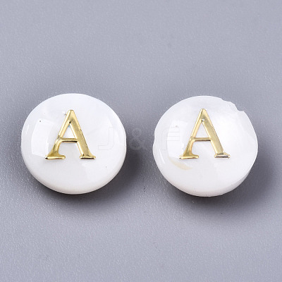 Natural Freshwater Shell Beads SHEL-S266-12A-1