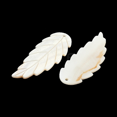 Natural Freshwater Shell Big Pendants SHEL-K006-44-1
