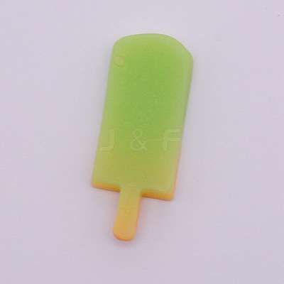 Resin Cabochons RESI-CJC0002-10G-1