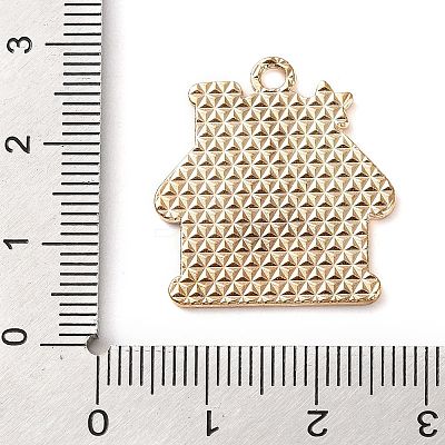 Alloy Enamel Pendants ENAM-B030-02G-01-1