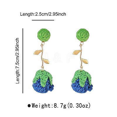 Bohemia Raffia & Alloy Stud Dangle Earrings WG3AA71-01-1