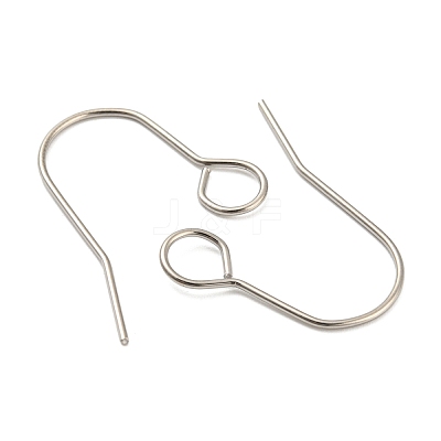 Tarnish Resistant 304 Stainless Steel Earring Hooks STAS-B047-31P-1