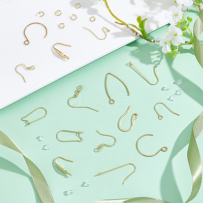 304 Stainless Steel & 316 Surgical Stainless Steel Earring Hooks Sets STAS-ME0001-12-1