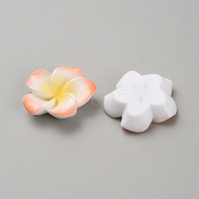 Two Tone Resin Cabochons RESI-WH20010-01D-1