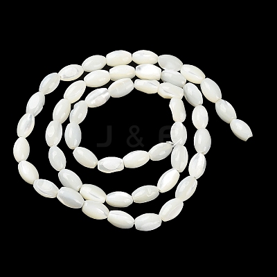 Natural Trochus Shell Beads Strands X-BSHE-E030-02C-1