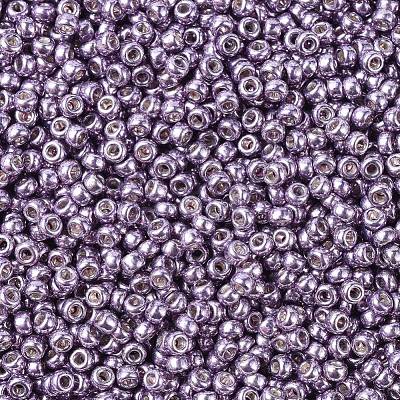 MIYUKI Round Rocailles Beads X-SEED-G007-RR1062-1