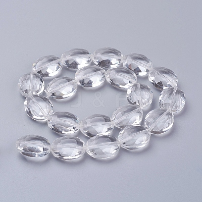 Glass Bead Strands GLAA-R196-20x16mm-01-1