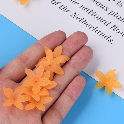 Transparent Acrylic Beads MACR-S373-127-D05-1