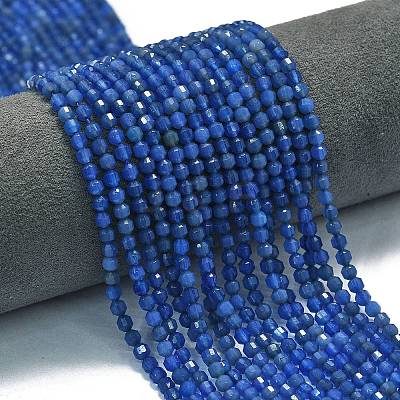 Natural Blue Agate(Dyed & Heated) Beads Strands G-A260-A12-01-1